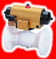 Pneumatic actuated valves